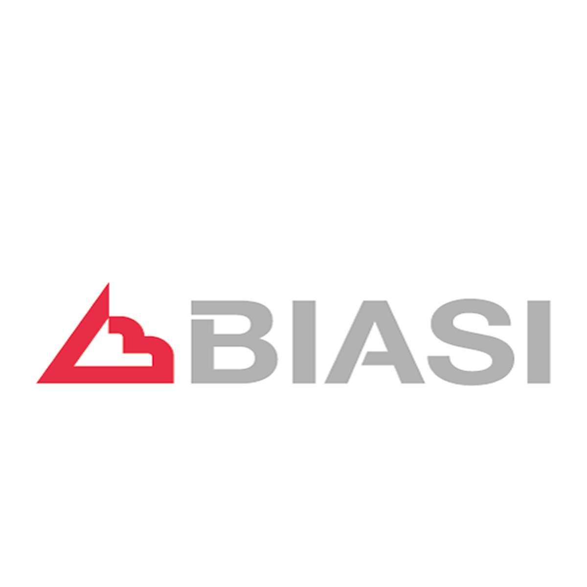 biasi_500_300.fw_